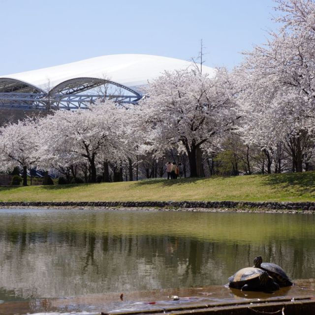 新潟県スポーツ公園