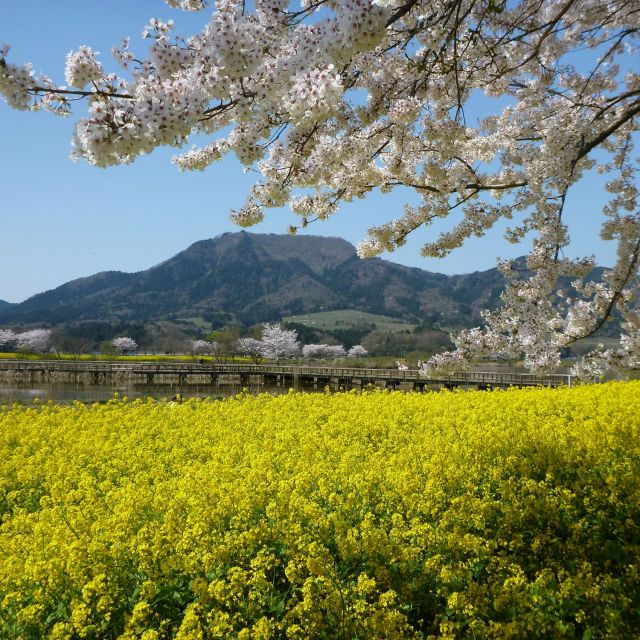 上堰潟公園