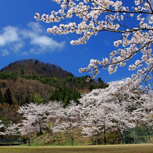 丸小山公園