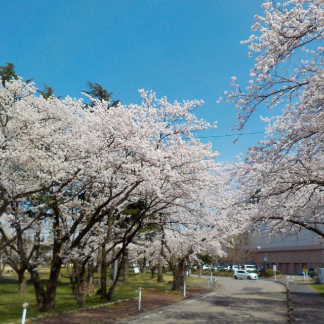 粟島公園