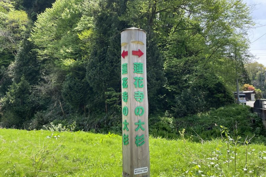 入口の目印