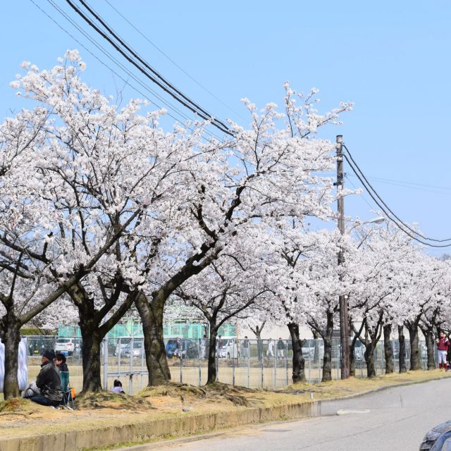 胎内市総合グランド