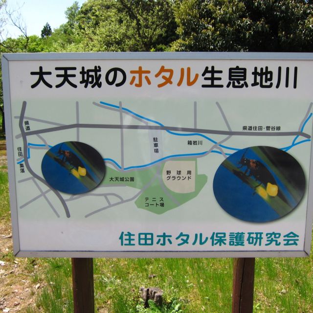 大天城公園