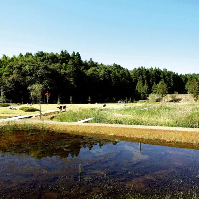 刈羽新池自然観察公園
