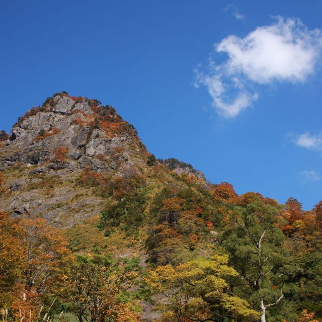 妹背山