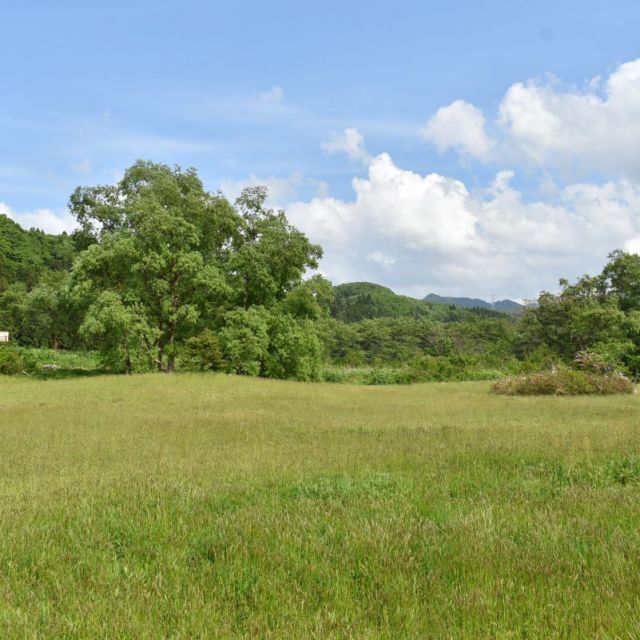 胎内市無料キャンプ場　夏井河川公園