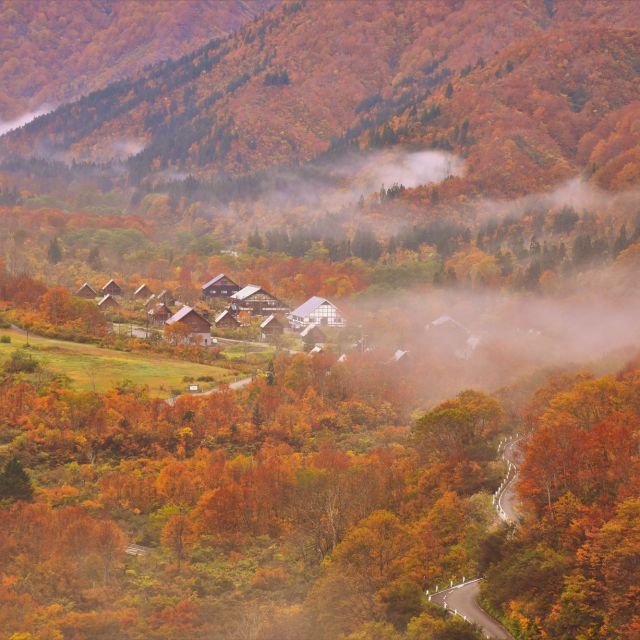 銀山平周辺（魚沼市）【紅葉の名所】