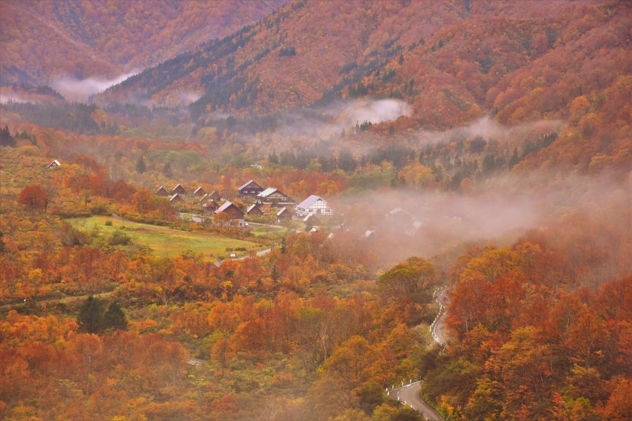 銀山平周辺（魚沼市）【紅葉の名所】