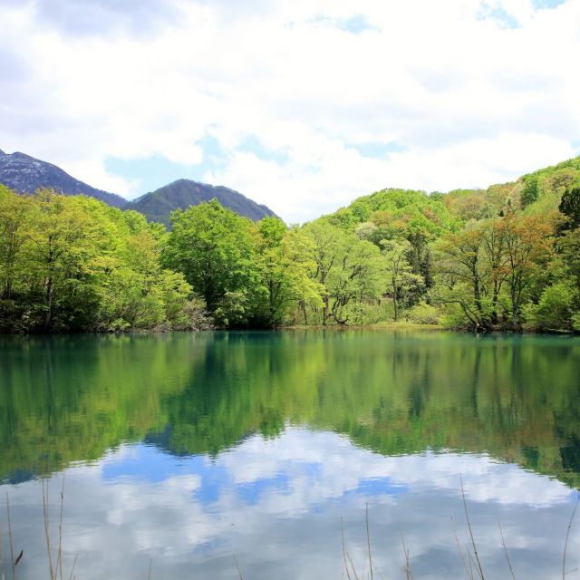 雨飾山麓しろ池の森