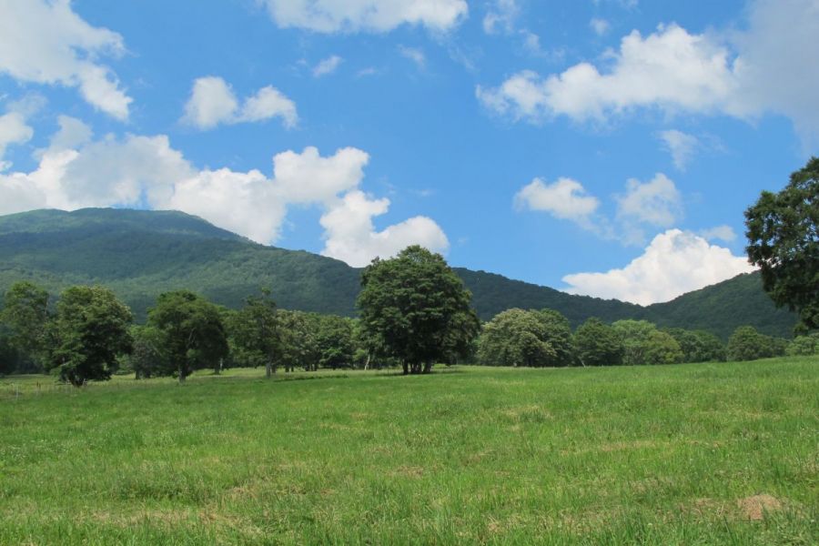 笹ヶ峰高原（夏）