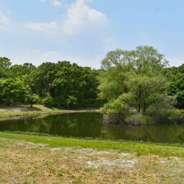 胎内市キャンプ場　長池憩いの森公園