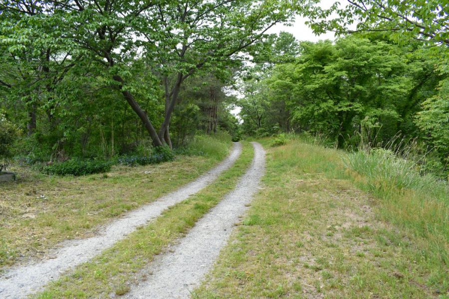 遊歩道