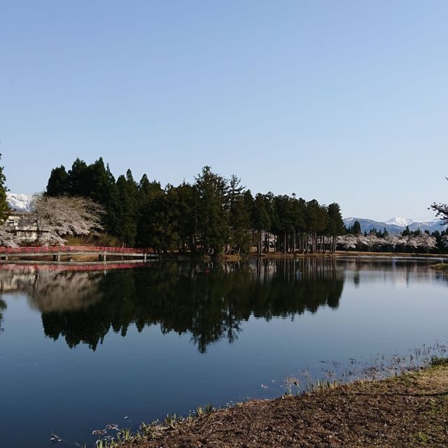 上の原公園・お松の池