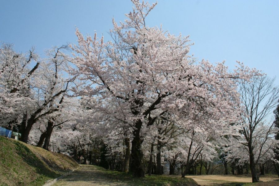 長者ヶ原公園