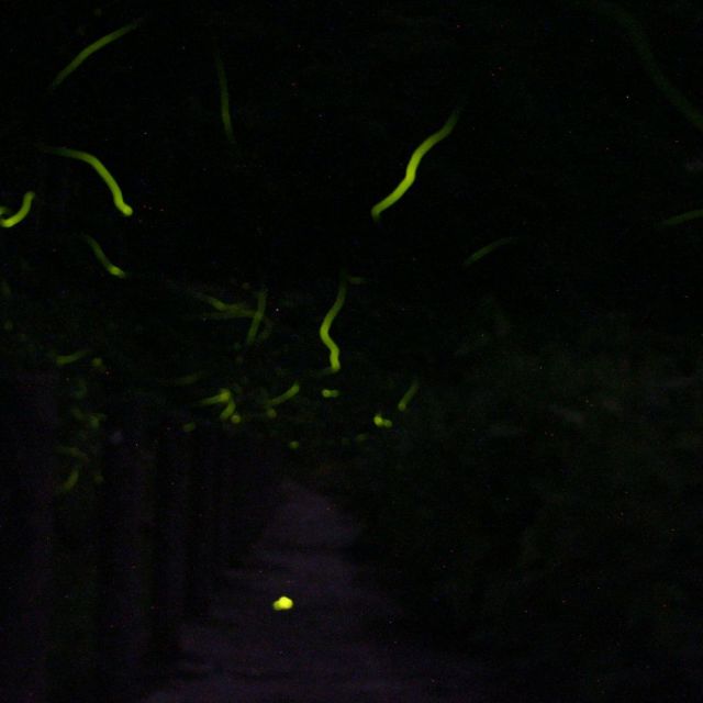岩瀬ほたるの里