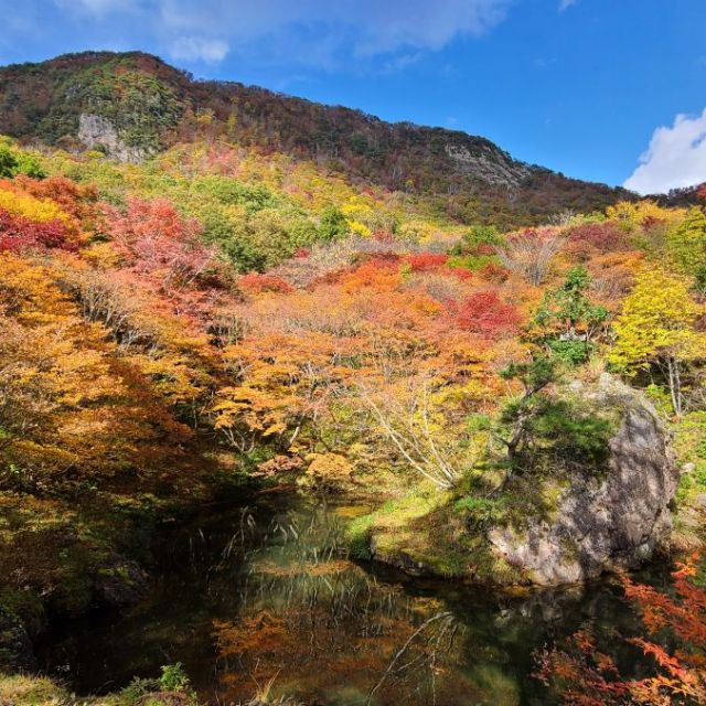 紅葉山