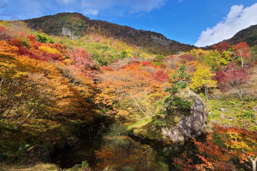 紅葉山