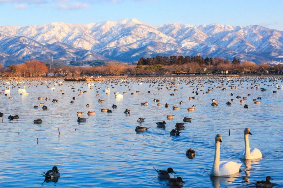 五頭山と瓢湖の朝