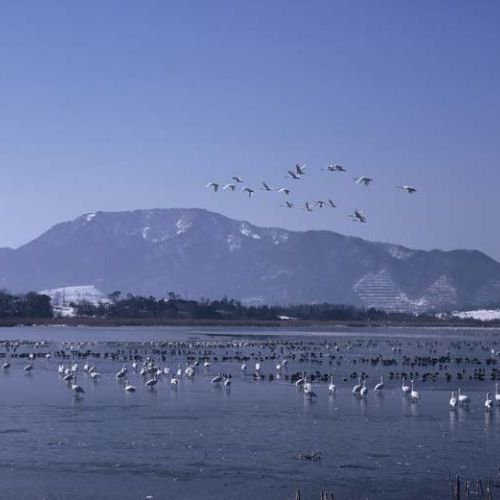 ラムサール条約登録湿地「佐潟」
