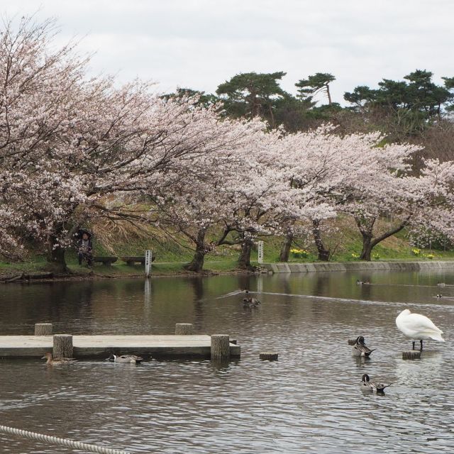 お幕場・大池公園