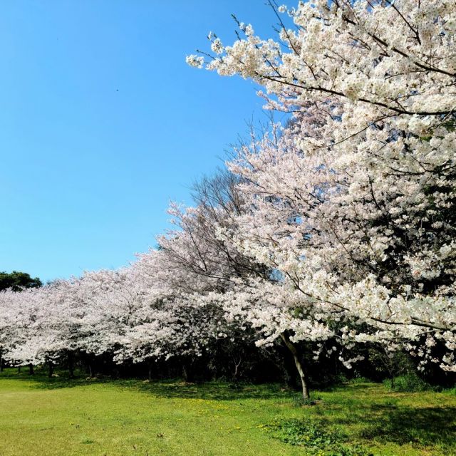 小木城山公園