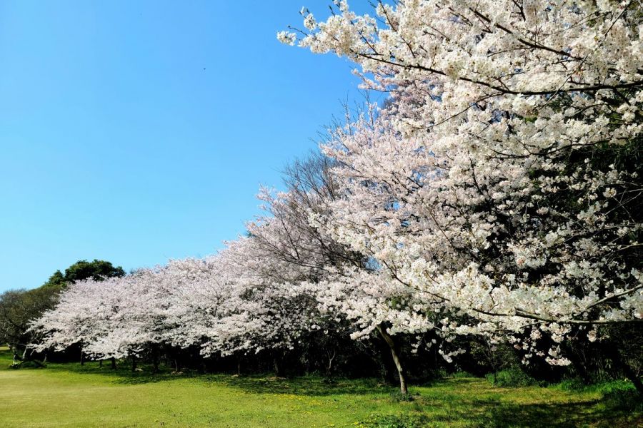 小木城山公園