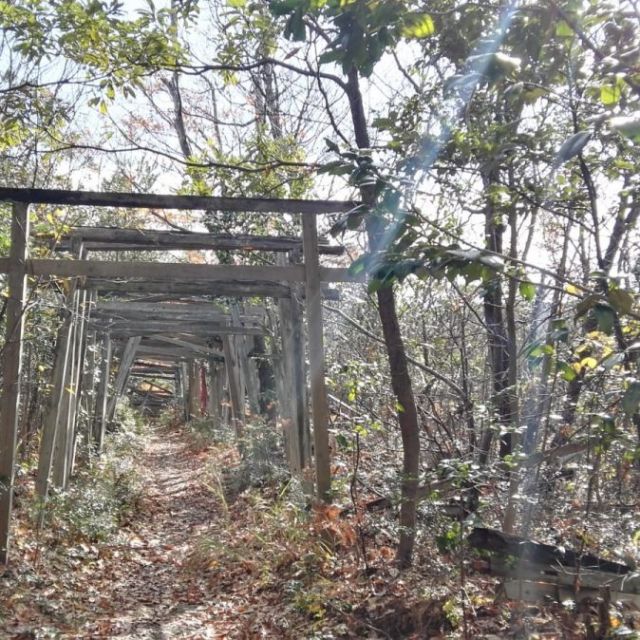 二ツ岩大明神