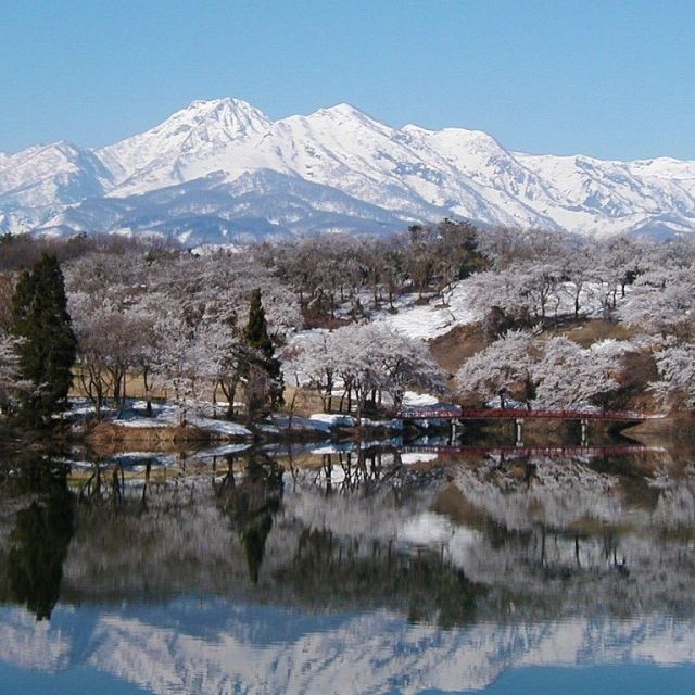 松ヶ峯周辺の桜と妙高山