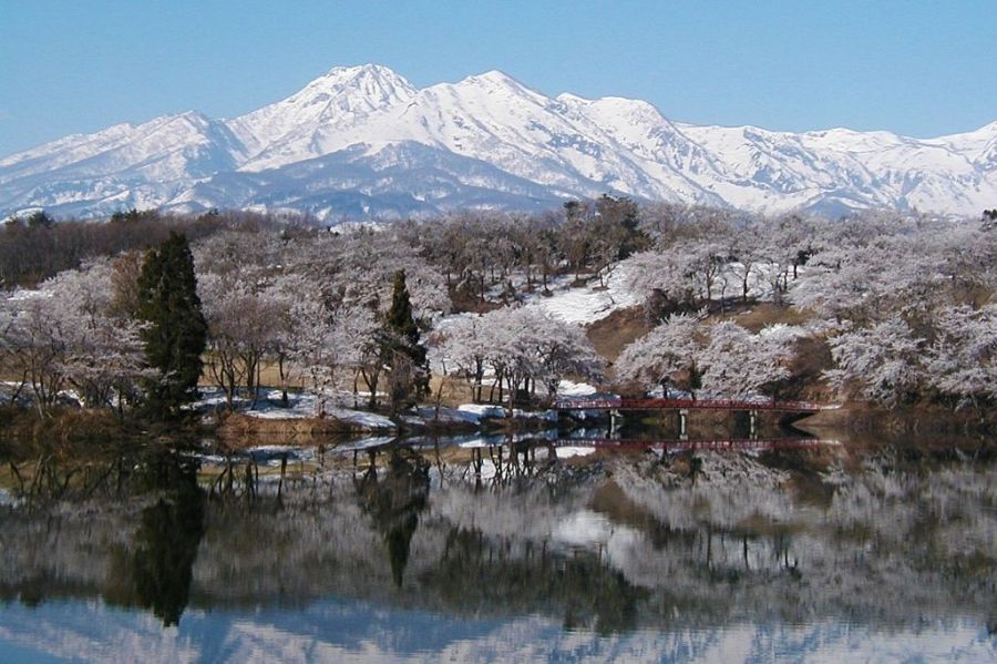 松ヶ峯周辺の桜と妙高山