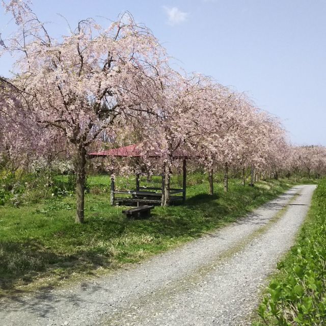 飯角板額ほたるの里