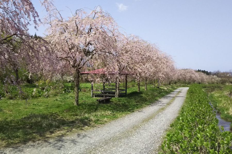 飯角板額ほたるの里