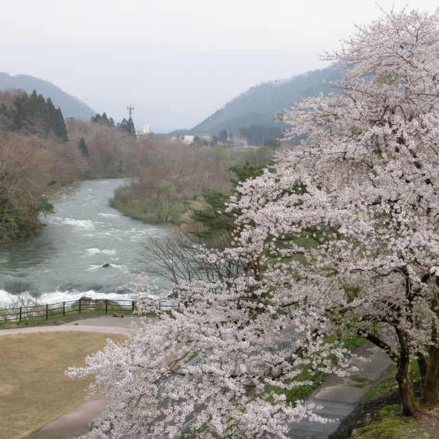 樽ケ橋