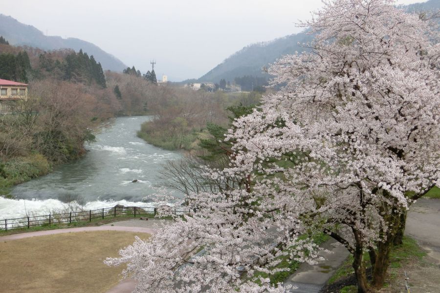 樽ケ橋