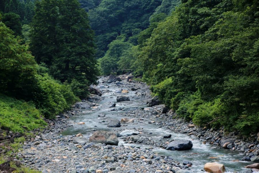 川の近くも歩けます。