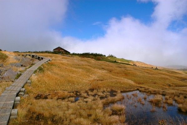 苗場山・小赤沢登山口／大赤沢登山口