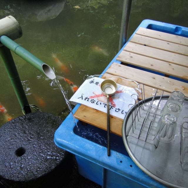 トコロテンの水（ところてんのみず）
