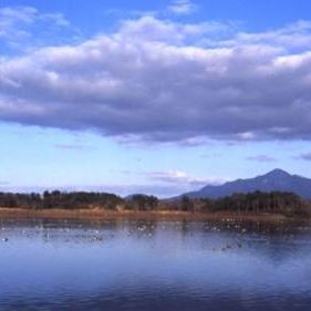 朝日池