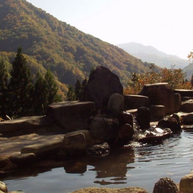 萌木の里【結東温泉】