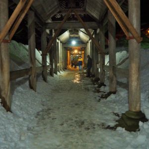 浦佐・白山神社祈年祭