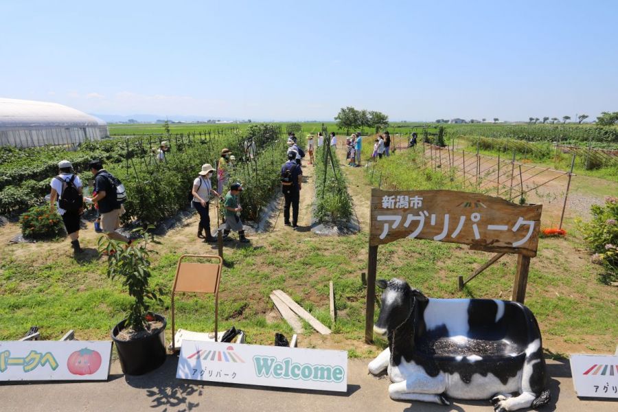 体験圃場