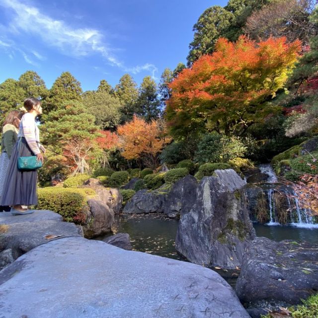糸魚川定期観光バス「秋の翡翠散歩」