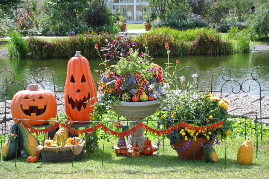 みつけイングリッシュガーデン「オータムフェア」・10/13（月・祝）「ハロウィンこどもDAY！」
