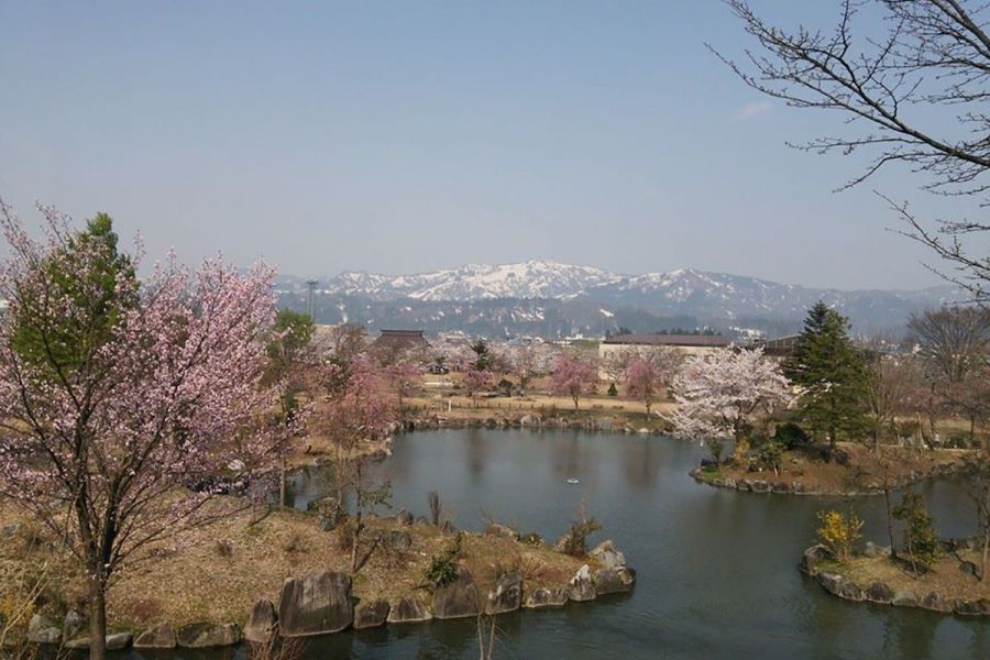 銭淵公園 観桜会