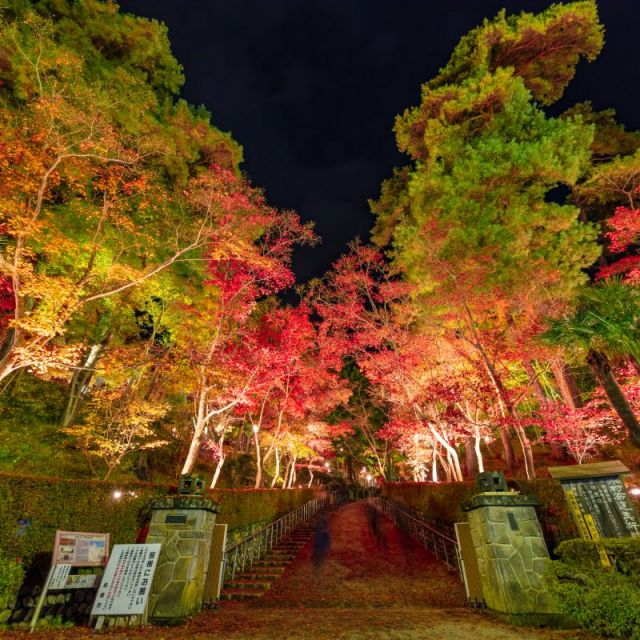 松雲山荘紅葉ライトアップ