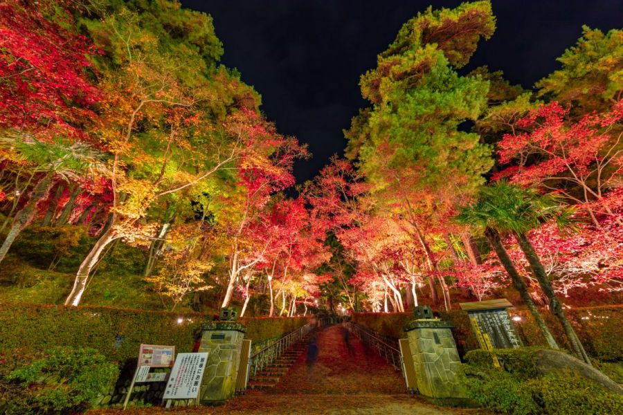 松雲山荘紅葉ライトアップ