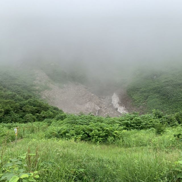 柵口の万年雪