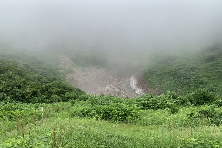 塵等の付着により茶色の万年雪