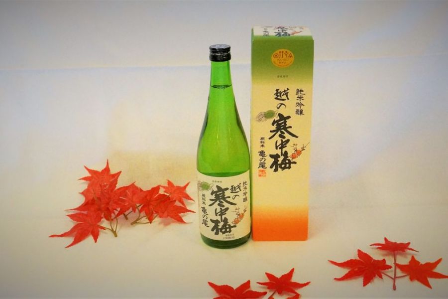 越の寒中梅(亀の尾)
