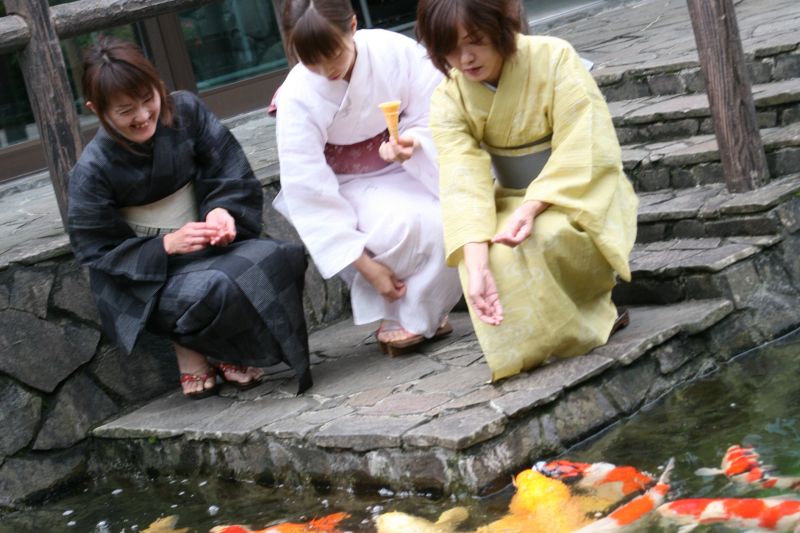 小千谷縮着物で錦鯉に餌やり