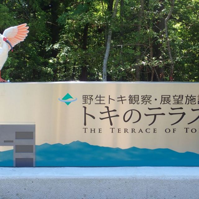 トキのテラス